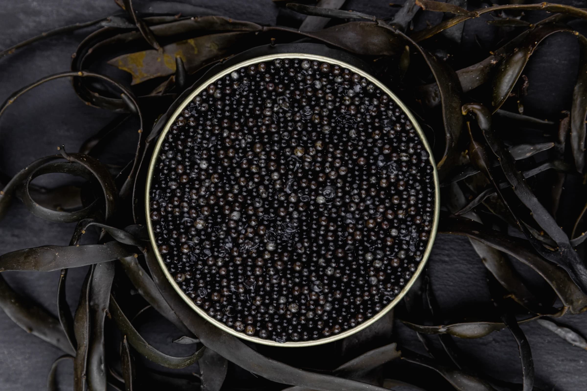 Siberian
Sturgeon Caviar (Acipenser Baerii)